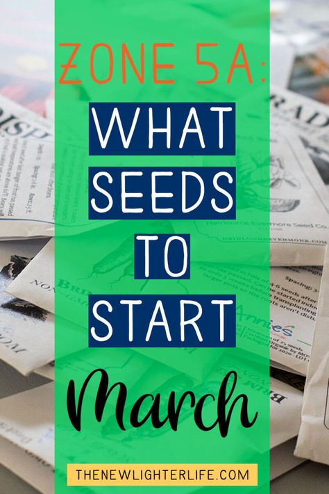 Seeds To Start In March, Garden Hod, Starting Flowers From Seeds, Starting Seeds Outdoors, Starting Seeds Inside, Zone 5 Plants, When To Plant Seeds, Starting Seeds, Gardening Zones