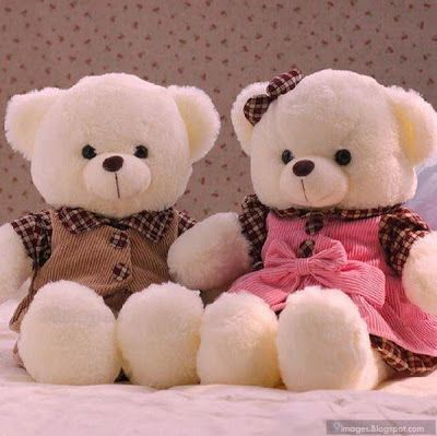 teddy 98 | Do Follow Me Teddy Day Pic, टेडी बियर, Cute Teddy Bear Pics, Teddy Bear Day, Teddy Bear Images, Teddy Day, Teddy Bear Wallpaper, Giant Teddy, White Teddy Bear