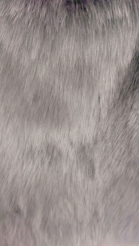 Grey Fur Wallpaper, Grey Fur Rug, Solid Wallpaper, Fur Rugs, Faux Fur Area Rug, Gray House, Fur Texture, Affordable Rugs, Faux Fur Rug