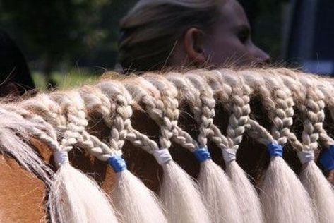 Horse Braiding Mane, Hairstyles For Horses Mane, Horse Mane Hairstyles, Horse Grooming Tools, Mane Braids For Horses, Horse Hairstyles Ideas, Horse Mane Ideas, Horse Mane Styles, Mane Braiding