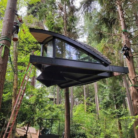 Alternative Living, Tree House Designs, A Frame House, Forest Floor, Garden Office, Unique Homes, Lombok, Blackbird, Black Bird