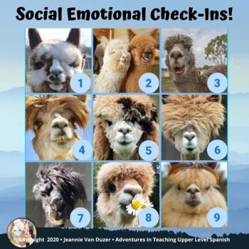 Have you seen the new craze, "How are you feeling using this dog scale" in which you choose a picture of the dog that best represents how you feel on a particular day? We can use this type of activity to check-in with students to see how they are feeling. Included are three check-ins and a list of i... Emotional Activities, First Week Activities, Spanish Coffee, Emotion Chart, Social Emotional Activities, Feelings Chart, Dog Pool, Feeling Used, Interactive Posts