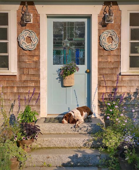 Maine Coastal Cottage, Maine Cottage Interiors, Ohio House, Fishermans Cottage, Cozy Mystery Series, Maine Cottage, Flower Subscription, Coastal Lifestyle, Mid Summer