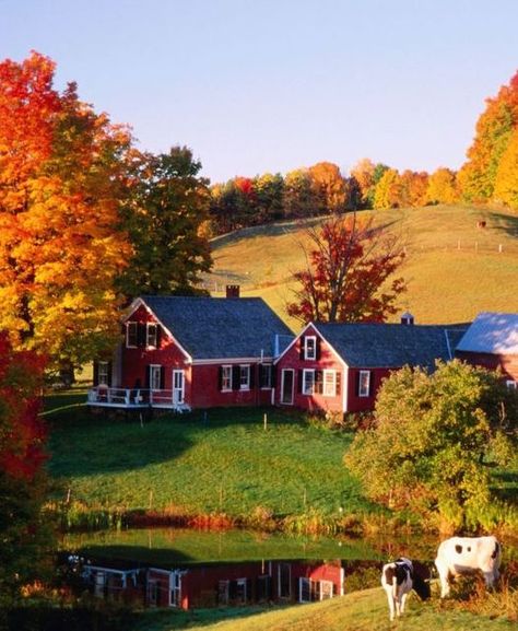 Farm Landscape, Barn Pictures, Country Barns, Cozy Spaces, Autumn Scenes, Country Landscaping, Country Scenes, Autumn Scenery, Old Barns