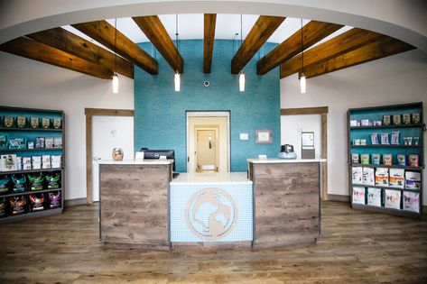 Veterinary Hospital Design, Clinic Reception, Veterinary Receptionist, Lobby Ideas, Blue Frog, Future Office, Vet Clinic, Office Lobby, Pet Vet