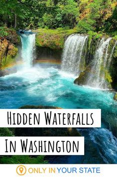 Want to hear a secret? There's an incredibly beautiful waterfall hidden in Washington State. The trail is short, but occasionally steep. Still, it's worth it to see this gem. | Washington Hiking | Trails | Short Hikes | Waterfalls Hikes | Columbia River Gorge | Kayaking | Near Oregon Only In Your State Washington, Waterfalls Washington State, Hidden Gems In Washington State, Washington State Vacation Ideas, Waterfalls In Washington State, Things To See In Washington State, Beautiful Places In Washington State, Washington Hikes Pacific Northwest, Hiking In Washington State