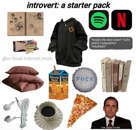 Back To School Starter Pack, Introvert Starter Pack, Alesia Core, Niche Meme Mood Boards, Aesthetic Starter Kit, Starterpack Aesthetic, Introvert Outfits, Aesthetic Starter Pack, Niche Aesthetic