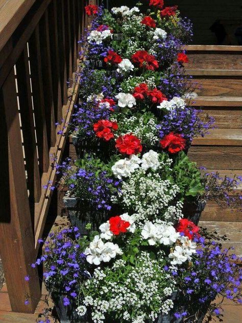 Blue Flowers Garden, Summer Planter, July Flowers, Tanaman Pot, نباتات منزلية, Container Gardening Flowers, White And Blue Flowers, Outdoor Flowers, Garden Containers