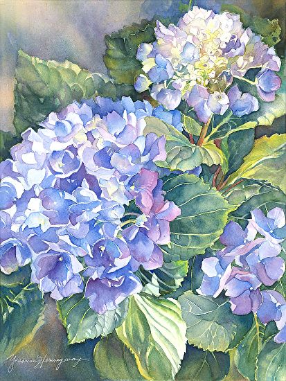 Hydrangeas Art, Watercolor Hydrangea, Hydrangea Painting, Watercolor Tulips, Watercolor Flower Art, 수채화 그림, Watercolor Flowers Paintings, Painting Flowers, Watercolor Inspiration