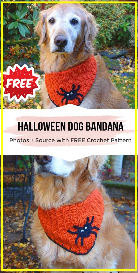 crochet Halloween Dog Bandana free pattern - easy crochet halloweenpet pattern for beginners Diy Dog Bandana, Spider Applique, Bandana Diy, Crochet Halloween Costume, Dog Bandana Diy, Orange Bandana, Crochet Dog Hat, Cat Hats, Dog Bandana Pattern