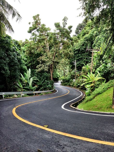 Traveling By Car, Road Photography, Blurred Background Photography, Awesome Nature, Way To Heaven, Beautiful Roads, Image Nature, Forest Road, Road Design