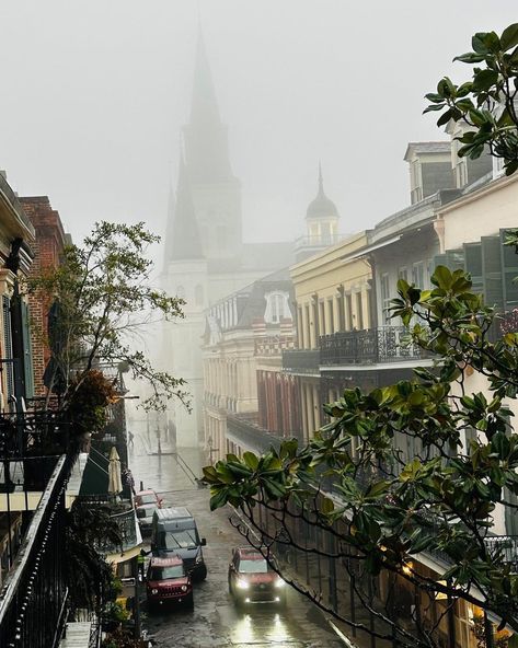 Louisiana Gothic Aesthetic, New Orleans Louisiana Aesthetic, New Orleans Aesthetic French Quarter, New Orleans Fall, Louisiana Aesthetic, Taxodium Distichum, New Orleans Aesthetic, Louisiana Tattoo, Louisiana Architecture