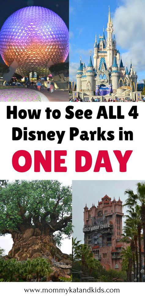 Walt Disney World in Florida is a magical place. There is so much to see and do but what if you only have one day in Walt Disney World? We will tell you exactly how you can see the best of all 4 Walt Disney Parks in one day! You’ll definitely want to save this Walt Disney World guide to your travel board. Disney World Guide, Travel Nursery, Disney Florida, Disney On A Budget, Disney Rides, Disney World Florida, Disney Travel, Disney World Planning, Walt Disney World Vacations