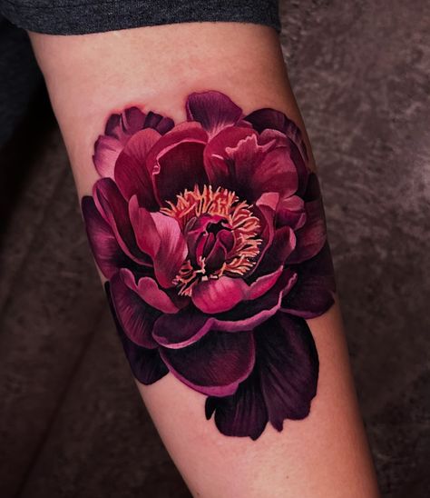 got to do this moody magenta peony for @phoenyx079 today as a start to a two day piece! we're doing another peony tomorrow and we were wondering if you could guess what color we will be doing tomorrow.... let us know in the comments!!!! . @obsidianmoontattoo . @fusion_ink @neumatattoomachines @inkmapstattooapp . #peony #peonytattoo #flowertattoo Floral Tattoo Design Peony, Peony Tattoo With Name, Pink Black Tattoo, Burgundy Flower Tattoo, Colour Peony Tattoo, Peony Tattoo Cover Up, Pink Peonies Tattoo, Colorful Peony Tattoo, Peony Tattoo Realism