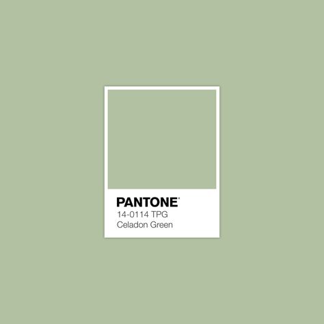 Celadon Green: February 4, 2017 Vert Pantone, Pantone Verde, Pantone Green, Best Wedding Colors, Pantone Palette, Pantone Colour Palettes, Desert Sage, Spring Color Palette, Celadon Green