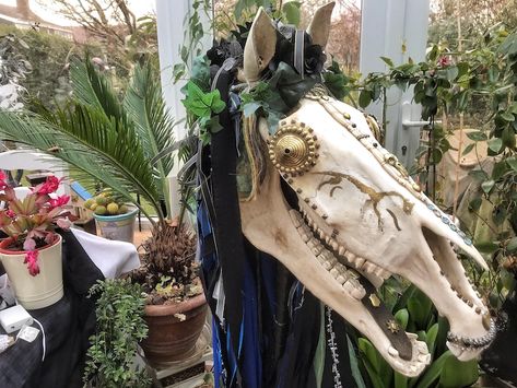 Pan-Celtic Hoofbeats: Horses of the Dark Time-Mari Lwyd | Kris Hughes Mari Lwyd, People Singing, Pagan Yule, Welsh Recipes, Horse Skull, Ancient Celts, Living Off The Land, Hobby Horse, The Best Day