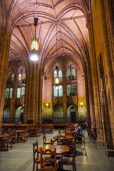 The Cathedral of Learning at the University of Pittsburgh: Wow! – Around the World "L" Cathedral Of Learning Pittsburgh, Pitt University, Cathedral Of Learning, Trip Activities, University Architecture, High Building, Dream College, University Of Pittsburgh, Stone Arch