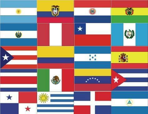 Ethnicity: Being Hispanic and embracing the language and culture is very important to me Hispanic Flags, People Speaking, Hispanic Countries, Flags Of Our Fathers, Catholic Aesthetic, Speaking Spanish, Countries And Flags, Speak Spanish