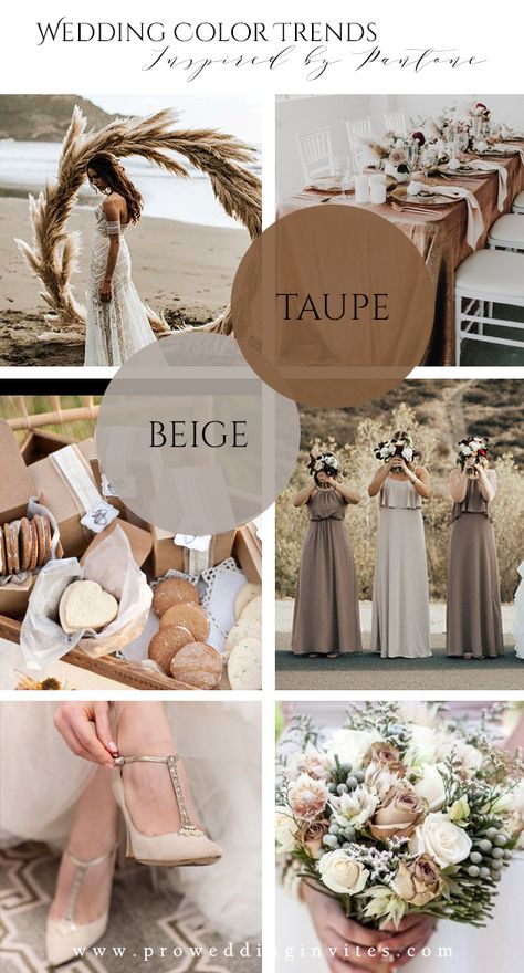 Champagne And Taupe Wedding, Nude Color Wedding Theme, Champagne Color Palette Wedding, Brown Wedding Theme, Neutral Spring Wedding, Beige Wedding Theme, Taupe Wedding Colors, Spring Wedding Theme, Brown Wedding Themes