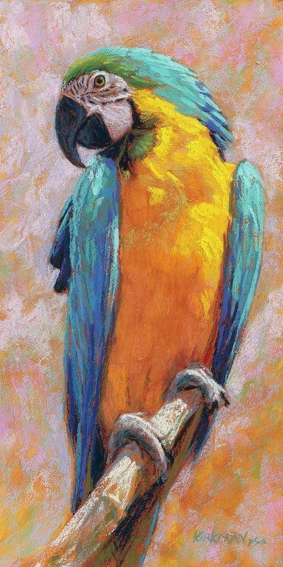 Macaw Art, Wallpaper Dog Aesthetic, Animals And Pet Supplies, Kunst Inspo, Dog Tattoo Ideas, Parrot Painting, Wallpaper Dog, Aesthetic Dog, Parrots Art