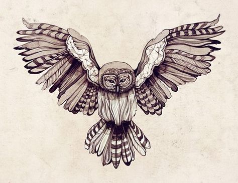 owl drawing. wings spread. stripes. black and white. Flying Owl Tattoo, Flying Owl, Petit Tattoo, Owl Tattoo Design, Owl Illustration, Geniale Tattoos, Charcoal Drawings, Owls Drawing, Owl Tattoo