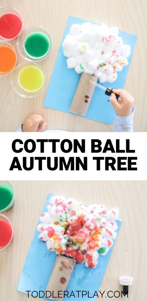 September Projects For Kids, Pre K November Activities, Autumn Tree Craft, Cotton Ball Crafts, Fall Preschool Activities, Coop Ideas, Fall Activity, Fall Arts And Crafts, Toddler Arts And Crafts