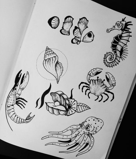 That seashell with the dot halo! 😍 Sea Tattoo Sleeve, Coral Tattoo, Shell Seahorse, Blackwork Illustration, Octopus Tattoo Sleeve, Vintage Tattoo Art, Crab Tattoo, Seahorse Tattoo, Minimalist Tattoo Ideas