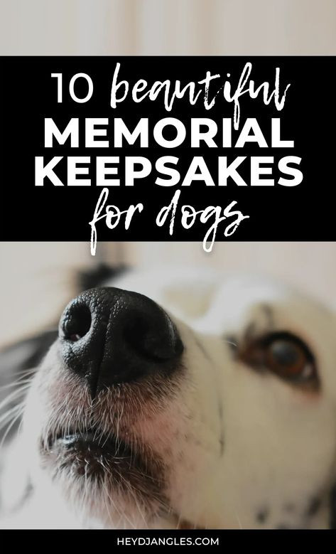 Looking for a touching memorial gift for yourself or a friend who has lost a pet? Check out 10 beautiful memorial keepsakes for dogs, right here. Dog Tag Memorial Ideas, Memorialize Your Pet, Dog Collar Memorial Ideas, Pet Keepsake Ideas, Diy Pet Memorial Ideas, Dog Remembrance Ideas, Pet Memorial Ideas, Dog Grave Ideas, Dead Dog