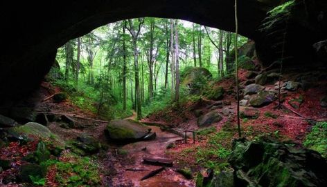 Road trip alert! The Natural Bridge of Alabama in Winston County - just 75 minutes from Birmingham | Bham Now Things To Do In Alabama, Huntsville Botanical Gardens, 52 Reasons, Secret Location, States In America, Natural Bridge, Us Destinations, Secret Places, Start A Blog