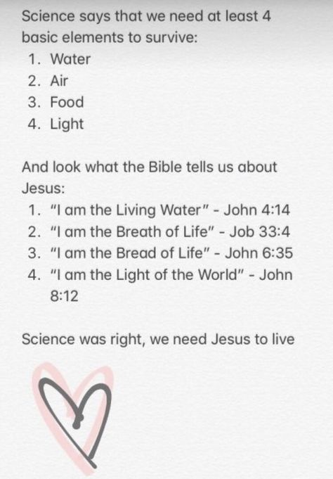 Book Of John Bible Study, John Bible Study, Bible Study John, John Bible, Job 33, Bible John, John 8 12, Bible Study Plans, Bible Study Lessons