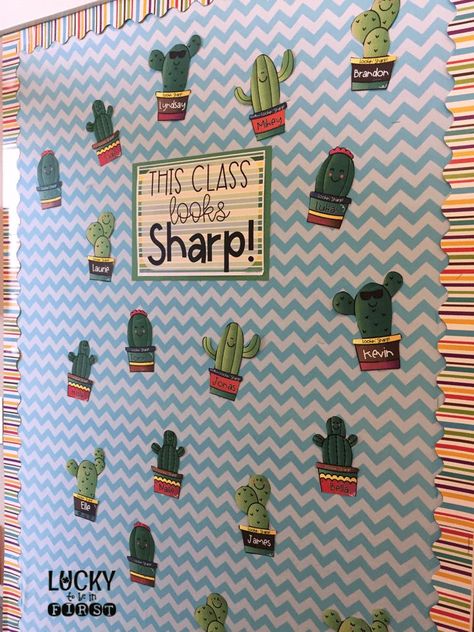 Welcome your class Back to School with these fun Back to School Bulletin Boards! Summer Classroom Door, Back To School Display, Back To School Displays, Cactus Classroom, School Display, Summer Bulletin Boards, Summer Board, Preschool Bulletin, Preschool Bulletin Boards