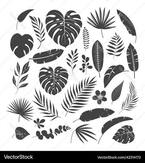 Hawaiian Plants, Jungle Plants, Leaf Silhouette, Plumeria Flowers, Hawaiian Flower, Leaves Vector, Leaf Nature, Banana Leaf, Tropical Leaves