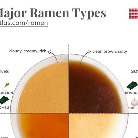 TasteAtlas on Instagram: "Learn all about major ramen types!

#ramen #tasteatlas" Ramen Stock Recipe, Ramen Shoyu, Tonkotsu Ramen Recipe, Ramen Types, Pork Ramen Recipe, Miso Pork, Tonkatsu Ramen, Tonkotsu Broth, Shio Ramen