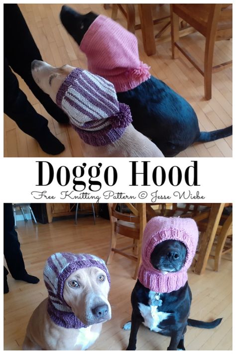 Dog Hats Knitted, Dog Knitted Hat Pattern, Free Dog Snood Knitting Pattern, Crochet Dog Hood Free Pattern, Free Knitted Dog Hat Patterns, Knit Hats For Dogs Pattern, Knit Dog Snood Free Pattern, Free Knitting Pattern For Dog Hat, Hats For Dogs Pattern