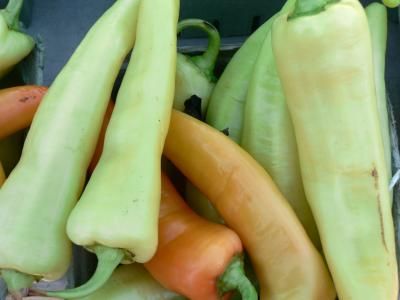 How to Prepare Hungarian Wax Peppers Hungarian Wax Peppers, Wax Peppers, Hot Pepper Recipes, Jalapeño Peppers, Nutrition Website, Long Pepper, Stuffed Banana Peppers, Peppers Recipes, Salad Bar