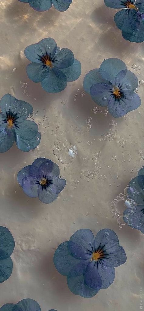 Iphone Wallpaper, Iphone, Water, Flowers, Blue