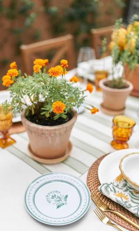 Scalloped Terra Cotta Pot + Marigold Flowers Terracotta Pot Table Decorations, Flower Pots Wedding Decor, Terra Cotta Pot Flower Arrangements, Terra Cotta Tablescape, Historic Home Wedding Decor, Terra Cotta Pot Centerpieces, Potted Plants Table Decor, Flower Pot Wedding Decor, Marigold Birthday Party