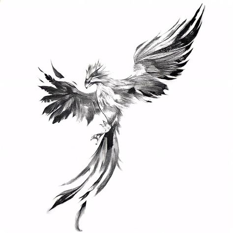 Phoenix Tattoo, Phoenix, Tattoo Ideas, Black And White, Tattoos, White, Black