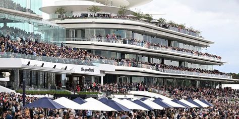 Why a protester dumped 1,000 litres of oily sludge on Flemington Racecourse Climate Activism, Flemington Racecourse, Extinction Rebellion, Victoria Police, Sport Of Kings, Melbourne Cup, Melbourne, House Styles