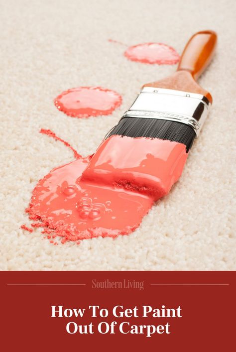 If you spill wet paint on your carpet, getting it out of your rug or carpet is easier than you might think. #carpetcleaning #cleaningtips #southernliving Get Paint Out Of Carpet, Remove Paint From Carpet, Paint Out Of Carpet, Cat Vomit, Rug Binding, Removing Paint, Painting Carpet, Carpet Cleaning Solution, Carpet Cleaning Hacks