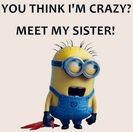 Funny Siblings Quote, Sister Thoughts, Minion Humour, Bonnie Und Clyde, Little Sister Quotes, Minion Memes, Sibling Quotes, Funny Sister, Minions Humor