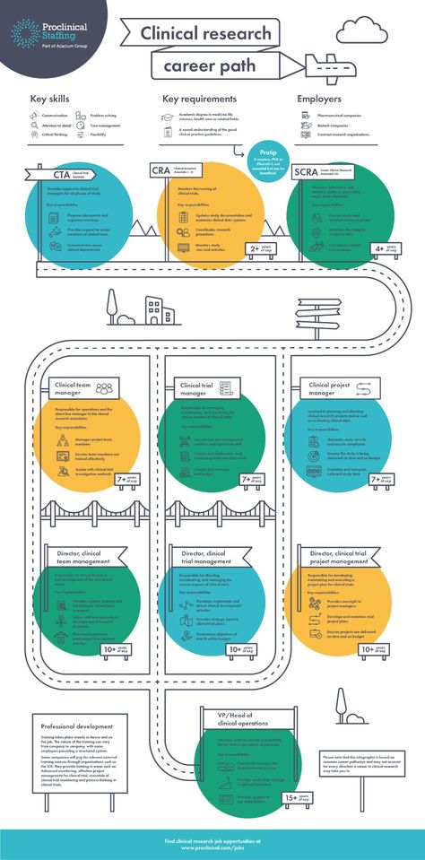 Flowchart Infographic, Flow Chart Design, Infographic Examples, Research Presentation, Business Web Design, Career Pathways, Path Design, Visual Learning, Life Decisions