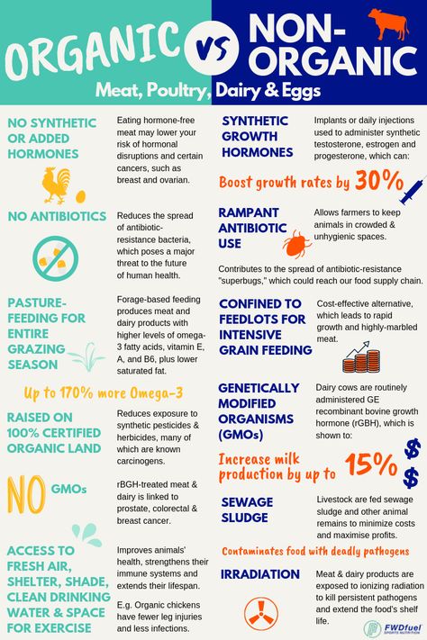 6 Huge Differences Between Organic And Non-Organic Meat, Poultry, Dairy, & Eggs Egg Farming, Organic Protein Powder, Organic Molecules, Organic Meat, Organic Diet, Organic Nails, Organic Protein, Farm Eggs, Organic Eggs