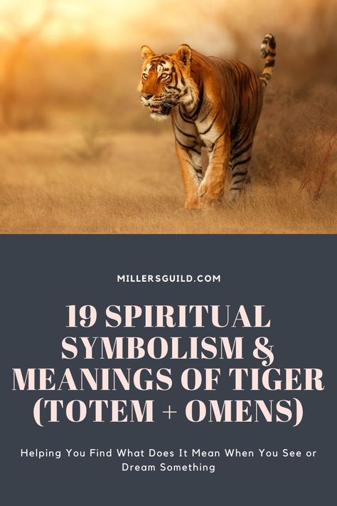 19 Spiritual Symbolism & Meanings of Tiger (Totem + Omens) 1 Tiger Symbolism, Animals Symbolism, Scrap Rug, Spirit Animal Tattoo, Tiger Tattoo Meaning, Tiger Totem, Tiger Spirit Animal, Female Tiger, Spirit Animal Meaning