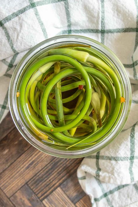 Take advantage of the short garlic scape season to pickle them! These tangy scapes are excellent alongside burgers or in soups. Scapes Recipes, Pickled Garlic Scapes, Scape Recipes, Garlic Plants, Snack Boards, Pickling Salt, Canning Recipe, Garlic Scapes, Pickled Garlic