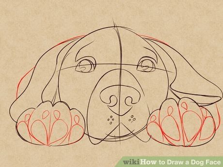 Image titled Draw a Dog Face Step 6 Dog Face Drawing, Dog Drawing Tutorial, Draw A Dog, Dog Drawing Simple, Dog Faces, Arte Doodle, Desen Realist, Face Sketch, Dog Drawing