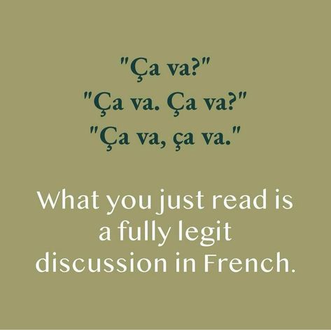 #language #french French Meme, Language French, French Quotes, Foreign Languages, Oui Oui, Cat Memes, Vocabulary, To Learn, Funny Quotes