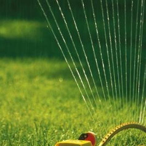 Homemade weed-and-feed lawn care will keep your lawn looking great, even through summer. Summer Lawn Care, Water Sprinkler System, Centipede Grass, Pergola Pictures, Lawn Fertilizer, Lawn Care Tips, Water Grass, Water Sprinkler, Lawn Service