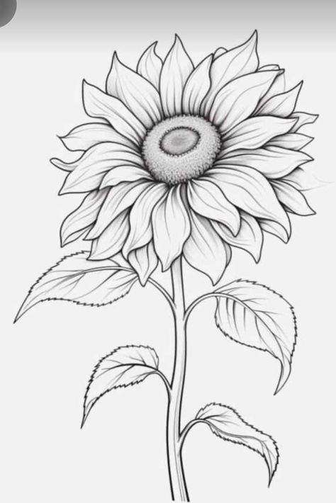 Sunflower Tattoo Design Drawings, Easy Sunflower Drawing, Sunflower Tattoo Stencil, Sunflower Outline, Sunflower Sketches, Tattoo Sunflower, Pencils Drawings, Travel Doodles, Pencil Sketchbook