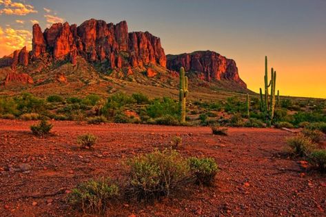 The 10 Best Places to Live in Arizona for Families The Desert, Arizona, Cactus